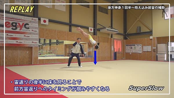 女子体操の指導法 練習法dvd 美しい技を身につける 女子体操競技 基本技術と補助のポイント 女子体操の指導法 練習法dvd 美しい技を身につける 女子体操競技 基本技術と補助のポイント