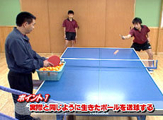 卓球の練習法動画 中学から始める卓球上達までのプロセス 部活動における初心者指導の全て 卓球の練習法動画 中学から始める卓球上達までのプロセス 部活動における初心者指導の全て